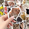 110 Pegatinas de Gatos Adorables y Divertidas