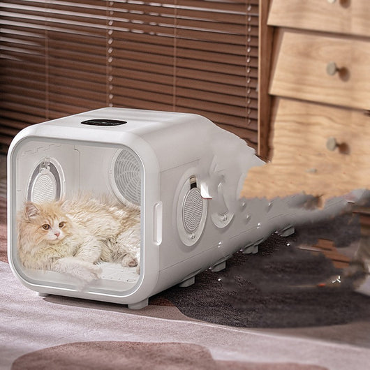 Secador Automático de Pelaje para Gatos - Image 4