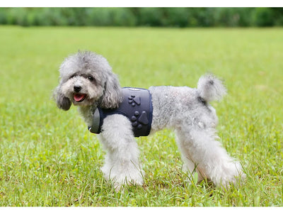 Arnés para Perro con Cuerda de Arrastre - Image 16