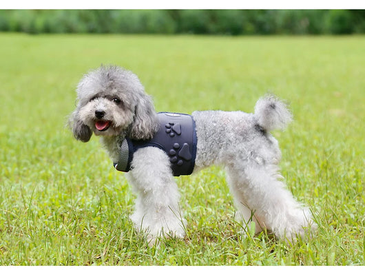 Arnés para Perro con Cuerda de Arrastre - Image 16