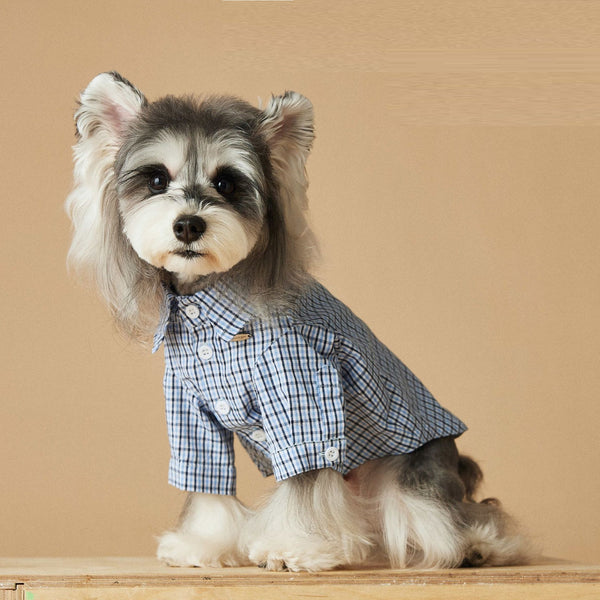 Camisa Cuadriculada de Verano para Perros Pequeños
