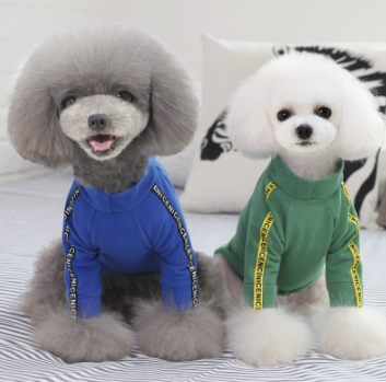 Playera de Algodón para Mascotas Chunqiu - Colores Lisos - Image 7