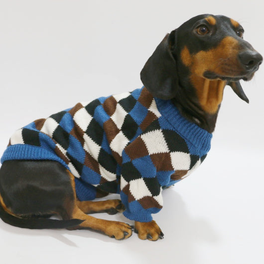 Suéter Rombos para Mascotas - Abrigo Azul Café para Perros y Gatos - Image 9
