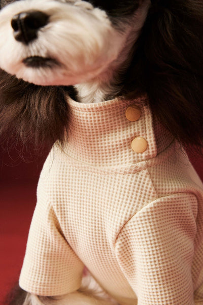 Ropa Térmica para Perros - Abrigo Waffle Otoño e Invierno - Image 11