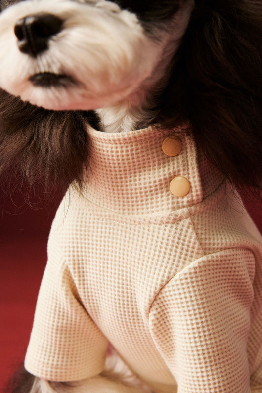 Ropa Térmica para Perros - Abrigo Waffle Otoño e Invierno - Image 11