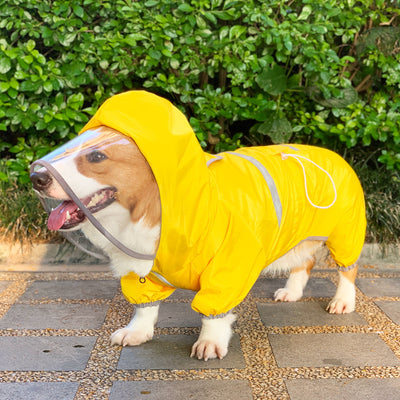 Impermeable para Perros de Cuatro Patas - Protección Waterproof - Image 11