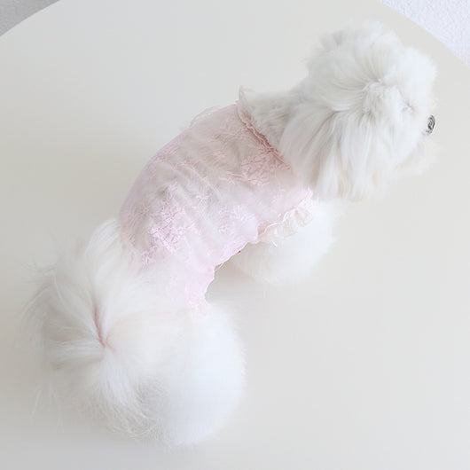 Chaleco de Encaje Antiestático para Mascotas - Ropa Elegante para Perros y Gatos - Image 21