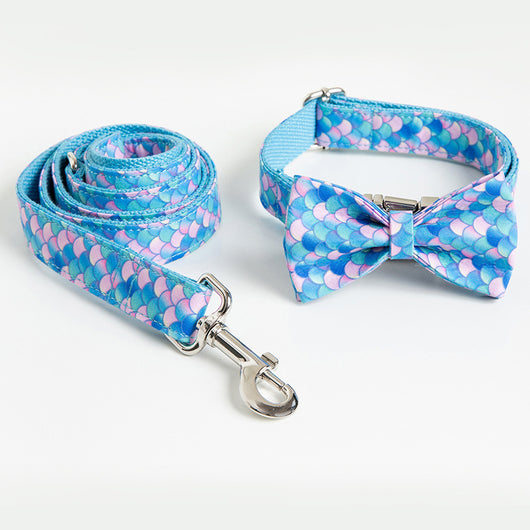 Collar Personalizado para Perros con Letras - Expresa su Personalidad - Image 10