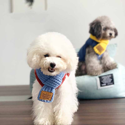 Pañuelo Bandana Térmico para Perros - Collar Cálido para Mascotas Pequeñas - Image 9