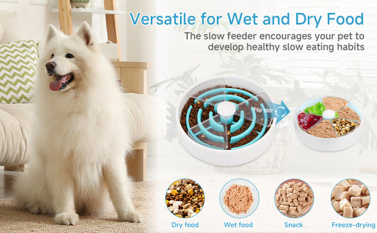 Comedero Interactivo Laberinto para Perros - Comedero Puzzle Antideslizante - Image 15