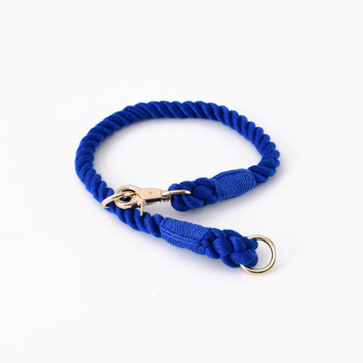 Collar Tipo P Ajustable para Perros Pequeños y Medianos - Image 6