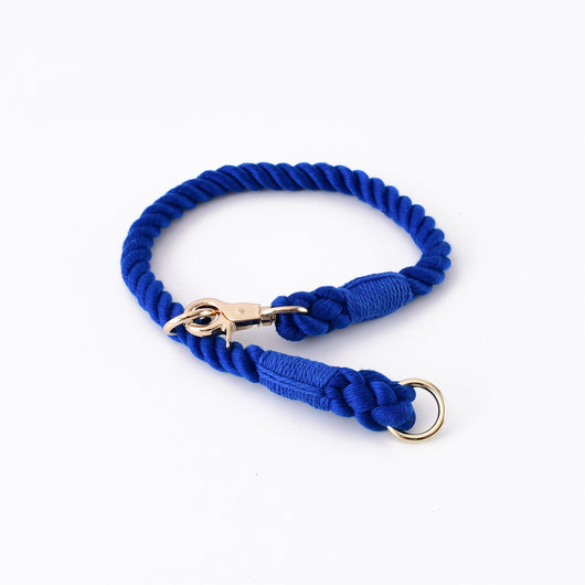 Collar Tipo P Ajustable para Perros Pequeños y Medianos - Image 6