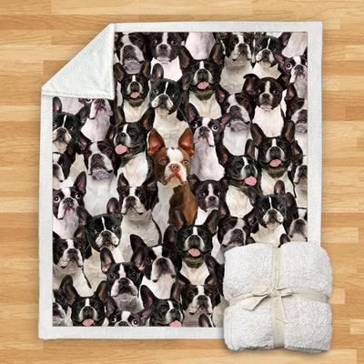 Manta Franela Estampada para Perros - Image 18