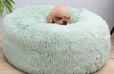 Arena Aglomerante Suave para Gatos y Perros - Image 12