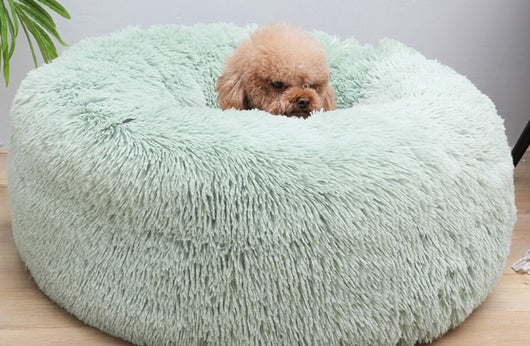 Arena Aglomerante Suave para Gatos y Perros - Image 12