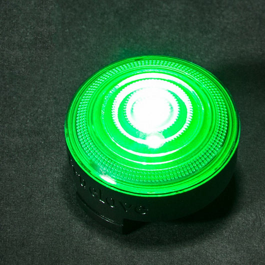 Collar LED Luminoso para Perros - Seguridad Nocturna - Image 10