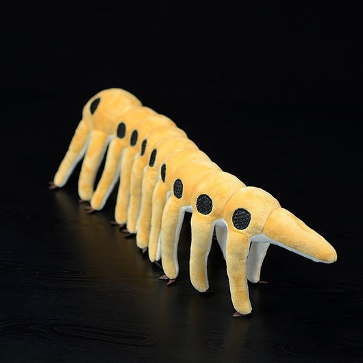 Peluches de la Serie Original de Paleontología - Image 5