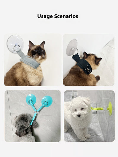 Kit Completo de Baño y Aseo para Mascotas - Soporte Antiarañazos con Accesorios de Limpieza - Image 12