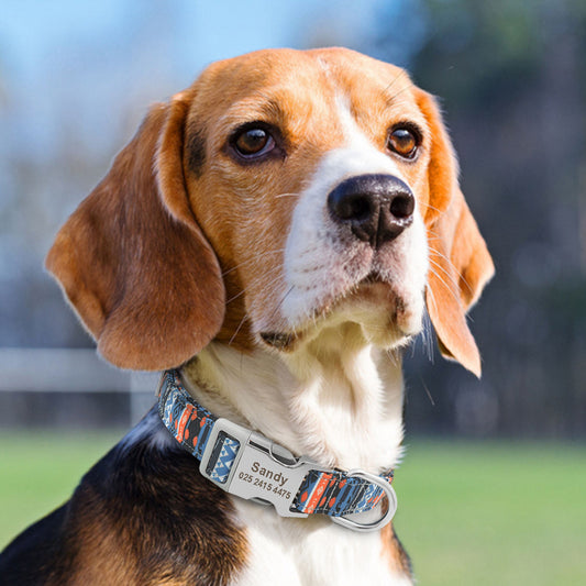 Collar Ajustable para Perros y Gatos con Placa de Identificación Personalizada