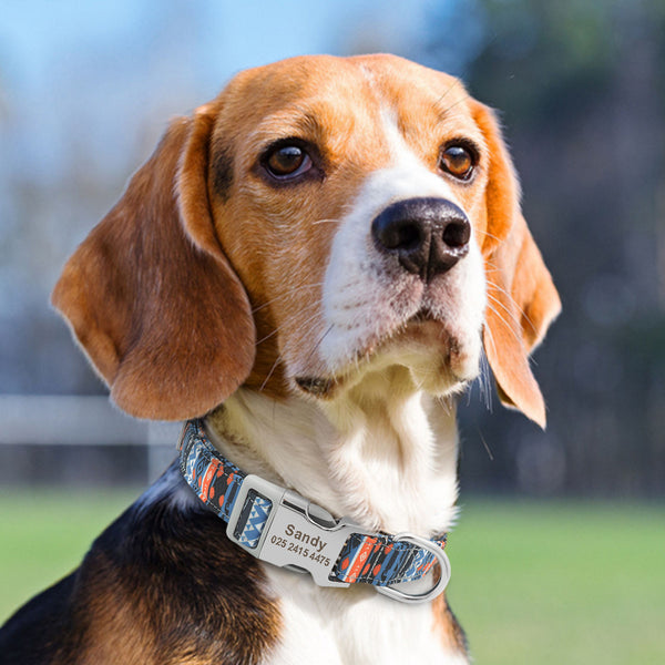 Collar Ajustable para Perros y Gatos con Placa de Identificación Personalizada