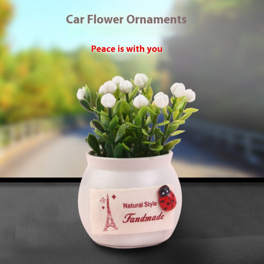 Difusor Aromático para Auto con Planta Ornamental de Fortuna - Image 12