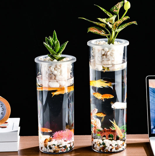 Maceta Ecológica de Escritorio con Paisaje Miniatura y Pecera Transparente - Image 19