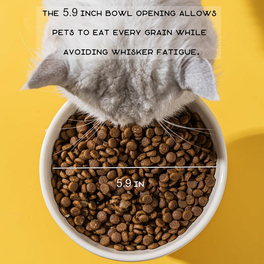 Comedero Elevado para Gatos de Cerámica - Bebedero Antioxidante con Diseño Felino - Image 10