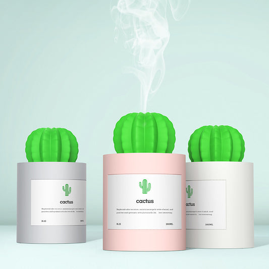Person holding a glowing white cactus humidifier with a green top; inset shows five white humidifier filter sticks.
