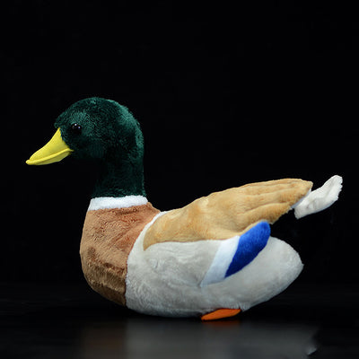 Peluche Pato Mallard Adorable