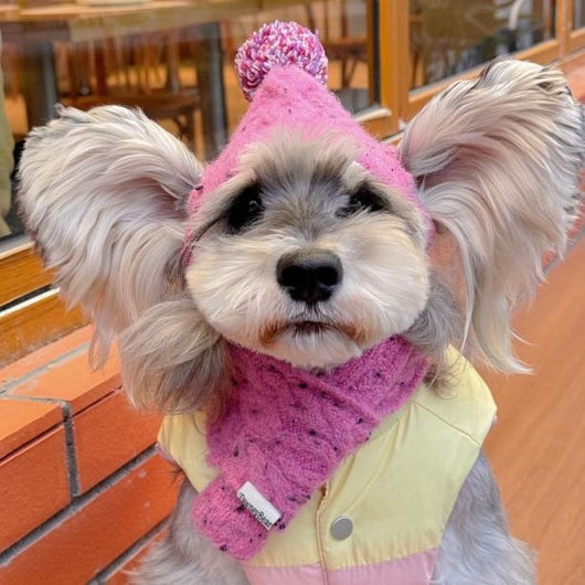 Gorro y Bufanda de Lana para Mascotas - Conjunto Abrigador para Perros
