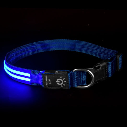 Collar LED Impermeable para Mascotas - Iluminación Nocturna - Image 4