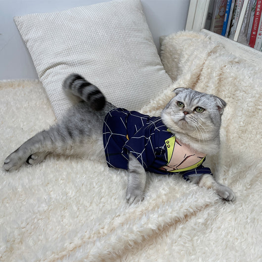 Playera con Cuello de Gato - Decoración Fotográfica - Image 8