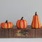 Pumpkin 3-Piece Set