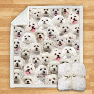 Manta de Franela Estampada para Perros de Diseño Moderno - Image 53