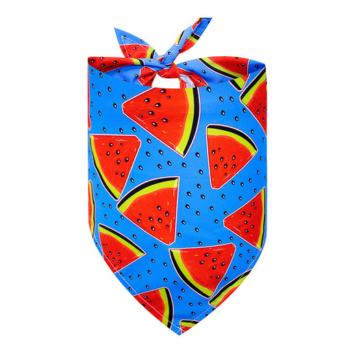 Pañuelo Triangular Absorbente para Perros - Diseño Frutas de Verano - Image 18