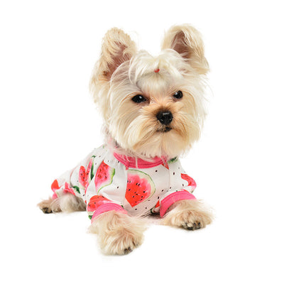 Mono para Perro Estampado Sandía de Cuatro Patas - Image 2