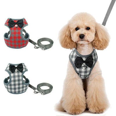 Correa para Perro - Image 6