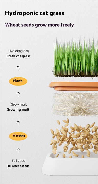 Maceta Hidropónica sin Tierra para Cultivo de Pasto de Gato - Image 16