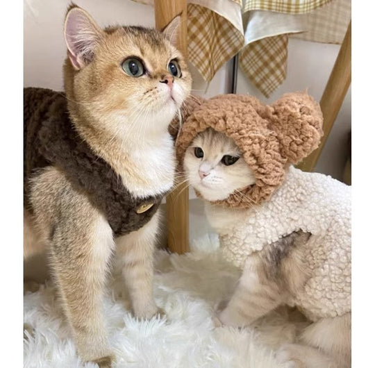 Chaleco Abrigador de Lana de Cordero para Gatos - Diseño Cálido e Adorable - Image 15