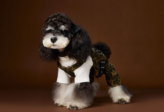 Overol para Perro Estampado Leopardo Otoño - Image 8