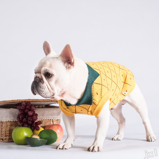 Ropa para Perros - Image 3