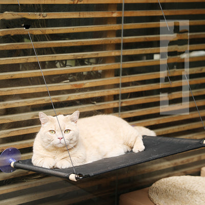 Hamaca de Cristal para Gatos - Cama Colgante con Ventosas Súper Adherentes - Image 5
