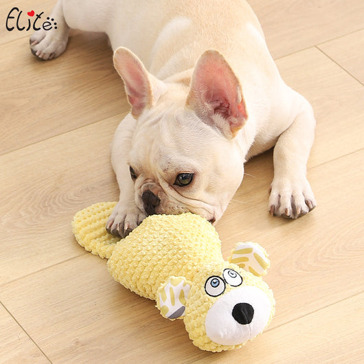 Juguete Mordedor Peluche Osito para Entrenamiento Dental de Mascotas - Image 7