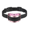 Begonia Powder USB