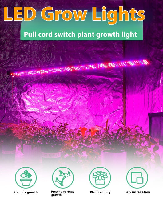 Barra LED de Espectro Completo para Plantas Suculentas - Image 12