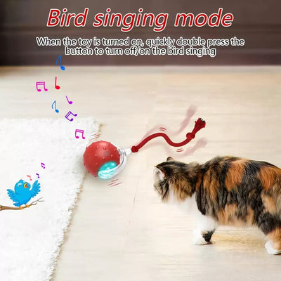 Red interactive cat toy ball with clear shell and glowing blue light, attached to a red rope, next to a playful tabby kitten. - Image 13