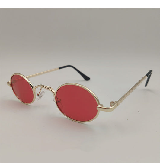 Gafas de Juego para Perros Medianos y Grandes - Image 3