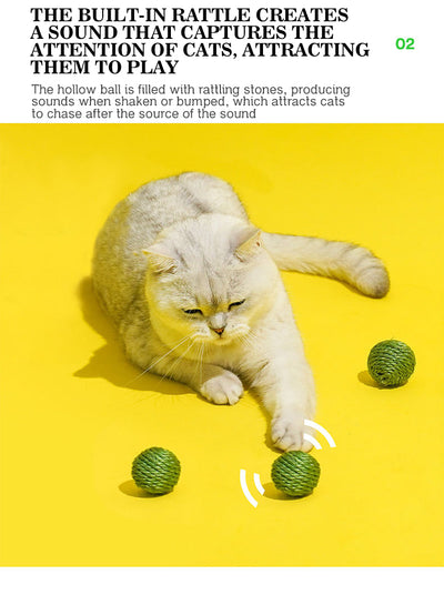 Juguetes Interactivos para Gatos - Pelotas de Sisal y Bastón Teaser - Image 16