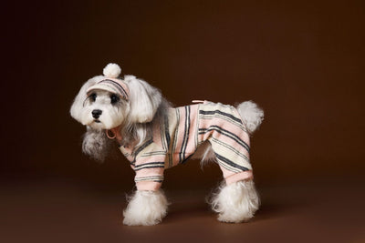 Suéter Térmico de Rayas para Perros Pequeños - Schnauzer, Bichón y Maltés - Image 33