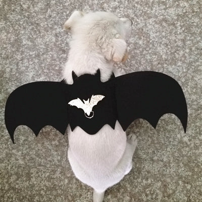Disfraz de Murciélago para Perros - Alas Ajustables - Image 8